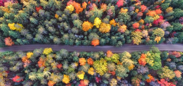 aerial photography of gray concrete road between assorted-color trees by Aaron Burden courtesy of Unsplash.