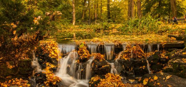 waterfalls in forest by Dawid Zawiła courtesy of Unsplash.